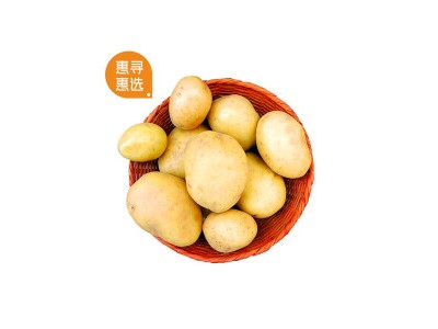 惠寻惠选 美香农场陕西新鲜黄皮土豆